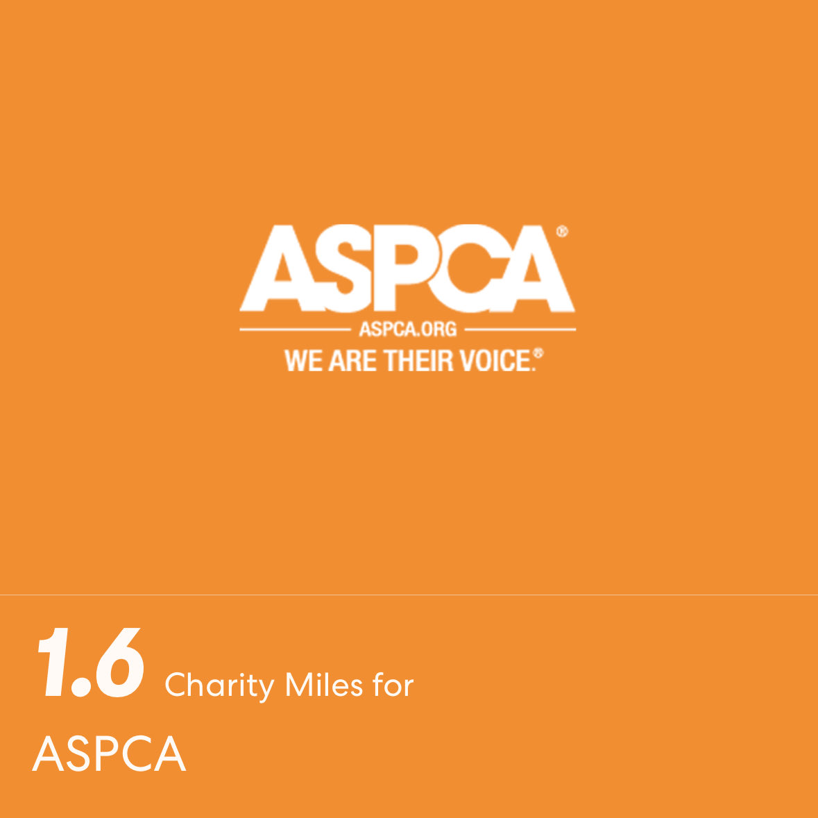 GinaReuscher's tweet image. Back at it for #steptoit ⁦@dealerteamwork1⁩!