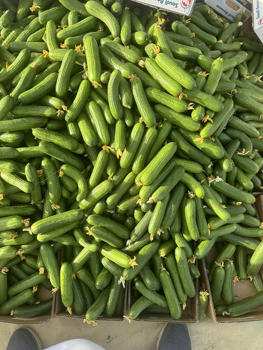 ModrenMv's tweet image. مؤسسة الرؤية الحديثة لكل مايخص الزراعة #نجران_الان #نجران #ديربي_الغضب #دوري_أبطال_أوروبا #النصّر_الطائي #الاتحاد_الهلال