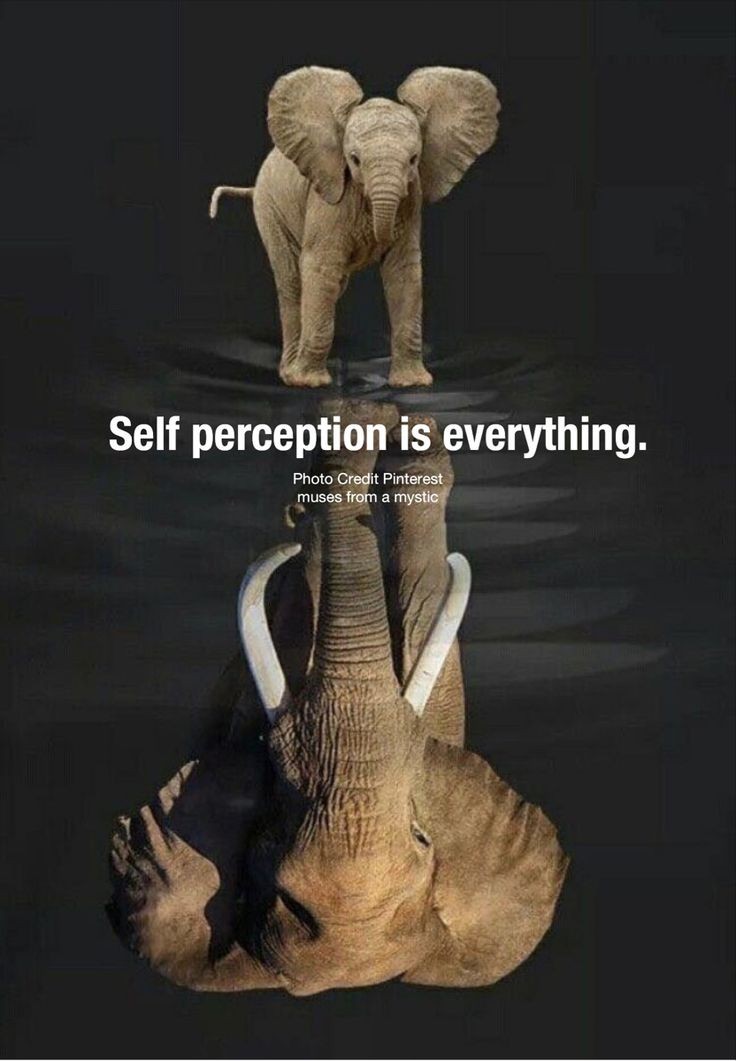 #selfreflection