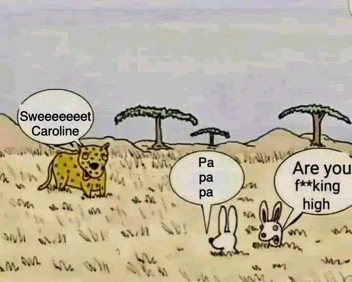 <a href="/PicturesFoIder/">non aesthetic things</a>