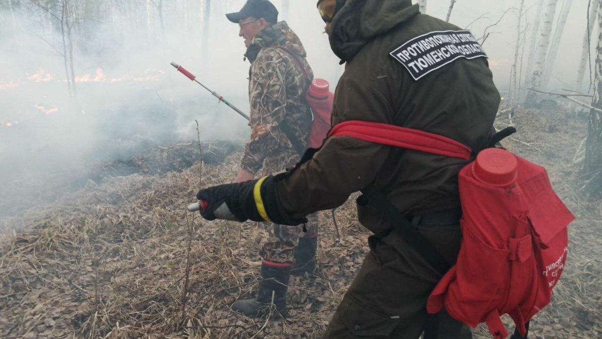 agentstvoprofes's tweet photo. 13 ландшафтных пожаров ликвидировали в Тюменской области за сутки https://t.co/zCYTUzk6dY https://t.co/eE18OVWipS