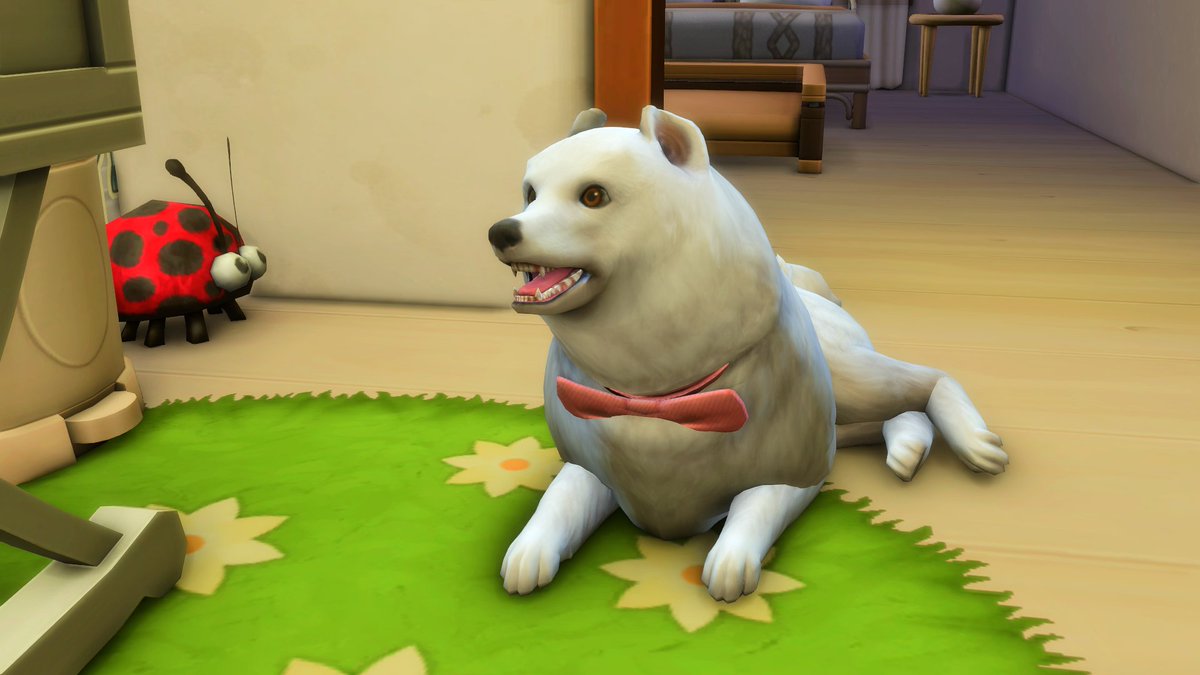 Takara_the_NPC's tweet photo. 🍼👶Current Household Update 16:
Mummy Joanne is ROCKING her baby weight giving her some more curves, daddy Jace has been secretly practising his knitting for the past 9 months and knitted baby Jerome a new onesie and big sis Queenie is guarding her new fav sim🥰
#thesims4update https://t.co/Ete2apYEhM