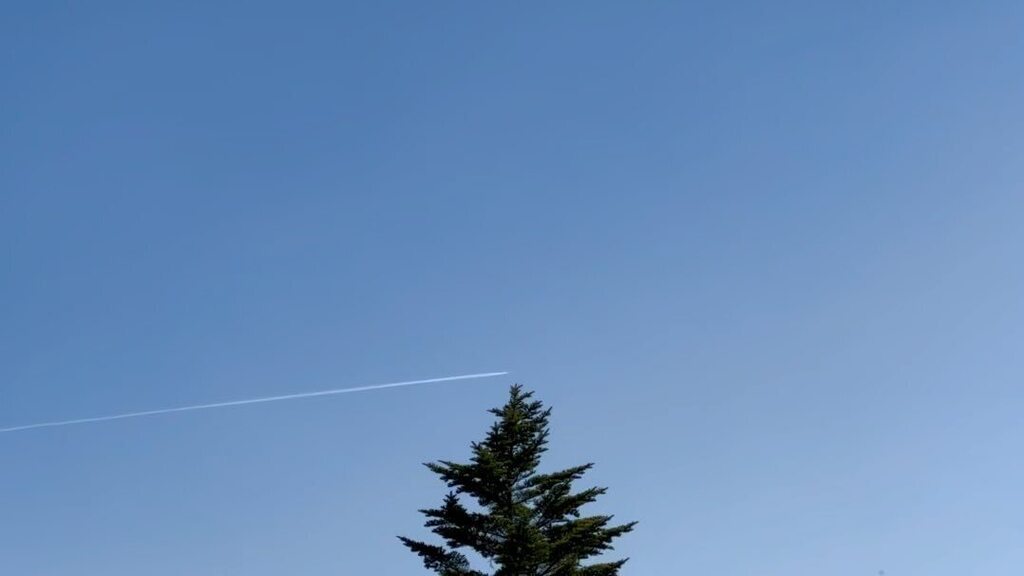 #飛行機雲 #vaportrail ✈️ instagr.am/reel/CsVW7iEAB…