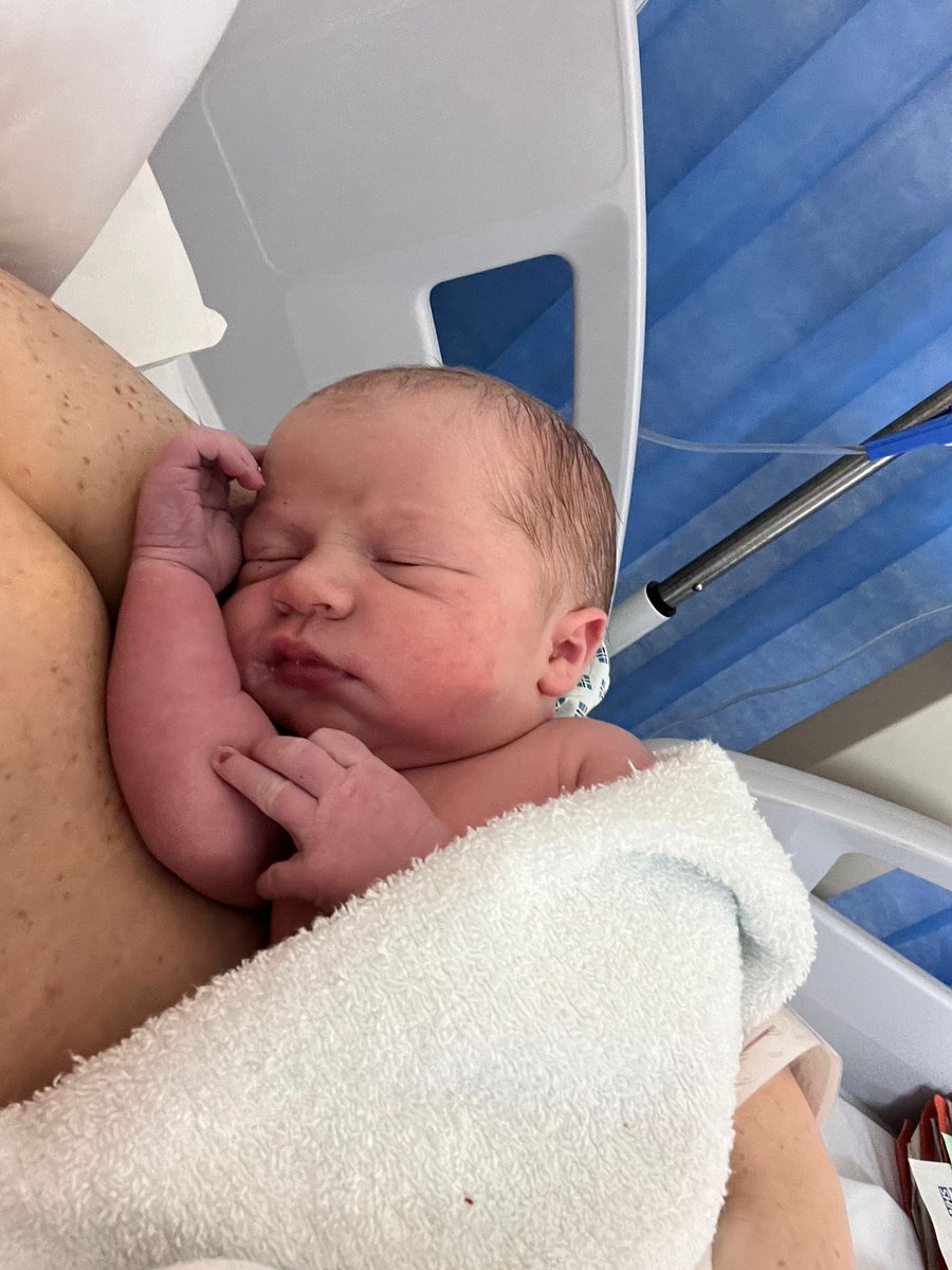 Karen Wilson tweet media