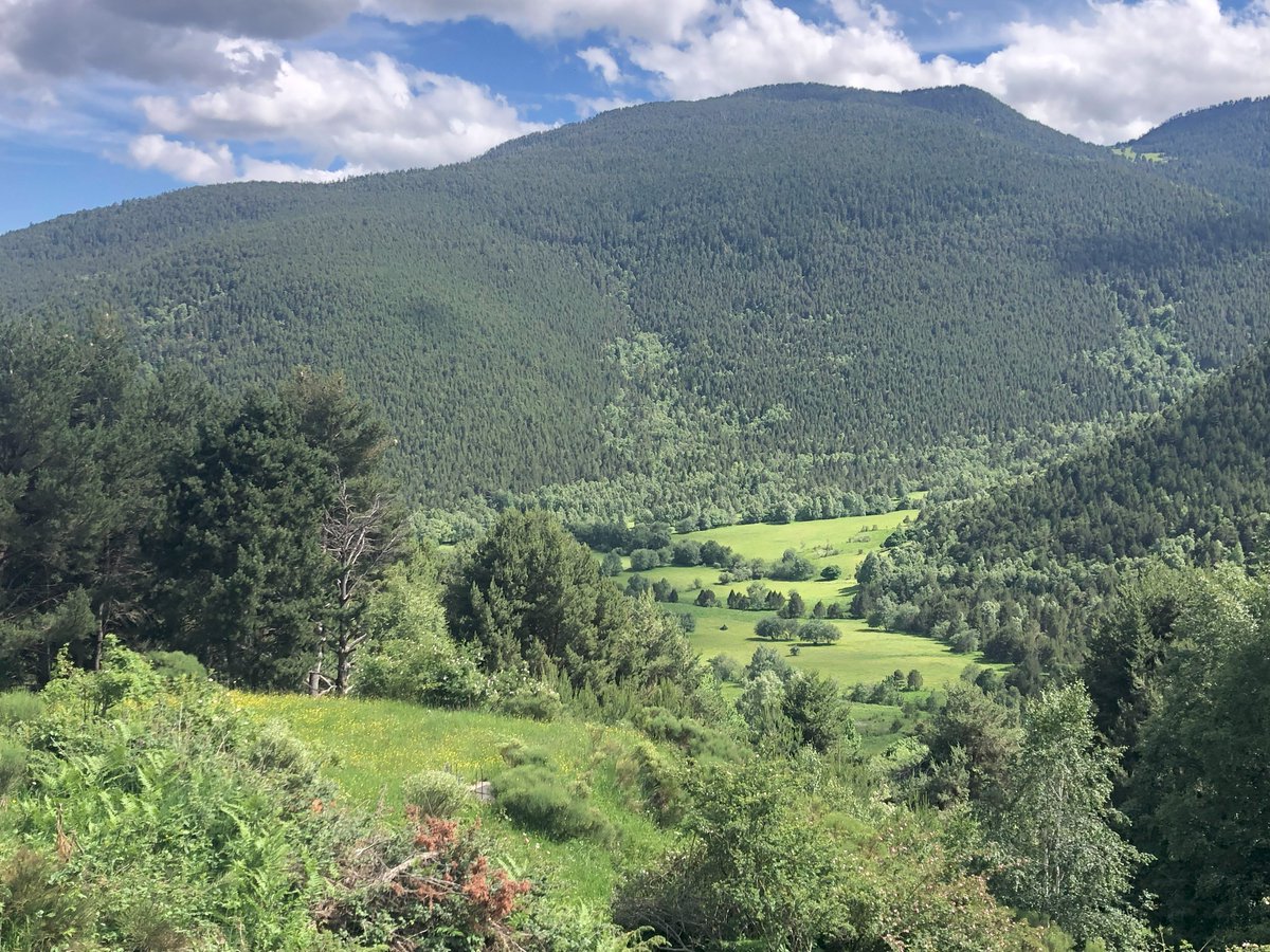 LColl_'s tweet photo. 🔊Just published (in Spanish):
"Guía práctica de gestión para la adaptación de los bosques pirenaicos al cambio climático".
A collaborative product of @opcc_ctp #ACCLIMAFOR edited by @baiges_teresa and Raphaël Delpi (@FORESPIR_ ).
PDF version here 👇
https://t.co/2Msd5j0W3e https://t.co/7dCynYhaib