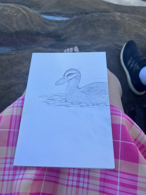 Beautiful day at the Nepean River with Emily drawing 😌💕💖 it was so lovely 💕💖 https://t.co/ULJGOZIcF1