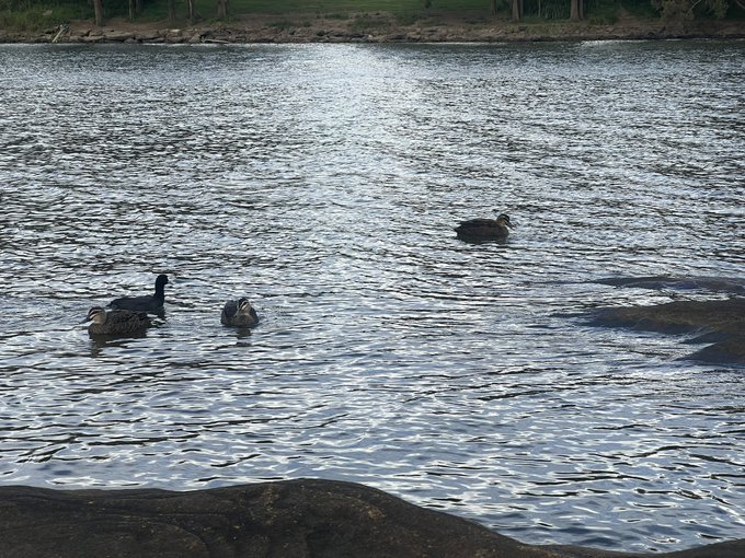 Beautiful day at the Nepean River with Emily drawing 😌💕💖 it was so lovely 💕💖 https://t.co/ULJGOZIcF1