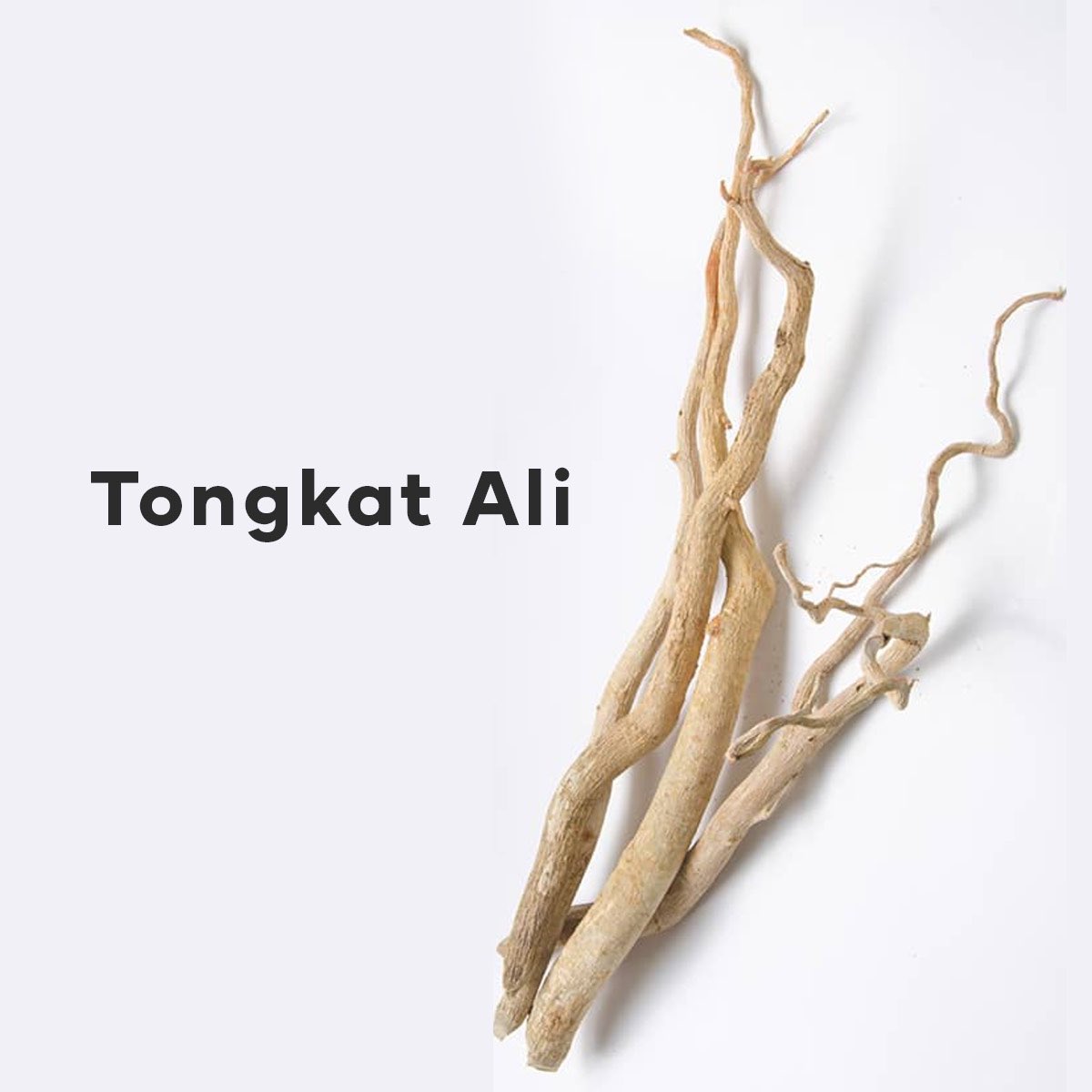 365nutrition's tweet photo. بما أن الهبة مكمل Tongkat Ali أو Long Jack أو الجنسنج الماليزي بسبب بودكاست Andrew Huberman فضروري يكون في موضوع مفصل عنه.

ما هو؟
هل يختلف عن الجنسينج الكوري؟
ما هي استخداماته؟
كم الجرعة الفعالة؟
هل يعتبر آمن؟
هل دمجه مع Fadogia agrestis يحقق فوائد أكثر؟

لايك ❤️ + ريتويت 🔁

👇🏼 https://t.co/6tNa4PxooB