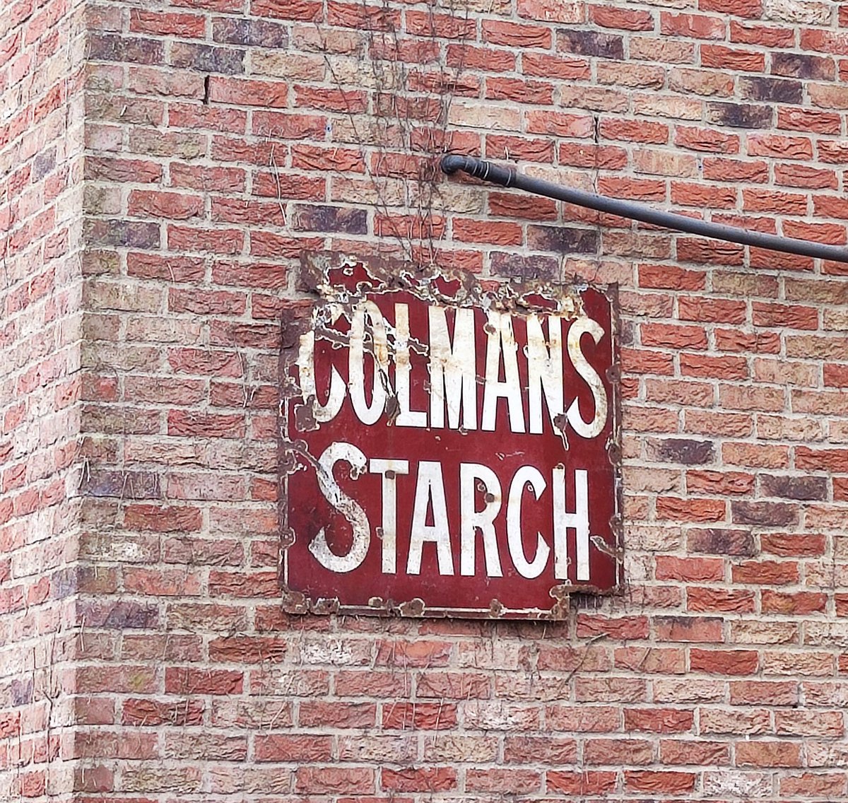 scumfc1005's tweet photo. A great old Colman's Starch sign on Queensgate in Beverley. I must have walked past this many times while out waking my partner's dog but never seen it as we normally go in the opposite direction missing it. @ColmansUK #colmans #beverley https://t.co/Q3DbFdXpRl