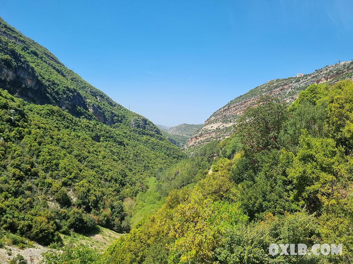 Let's see what to discover in this valley in Lebanon!
actenow.com

#batroun #lebanon #kfarhelda #discoverlebanon #لبنان #البترون