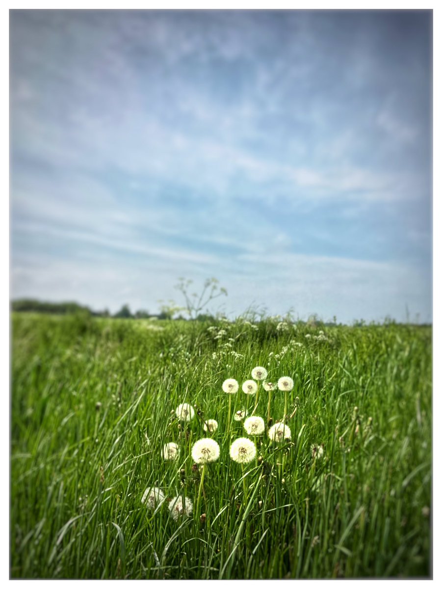 TimLihoreau's tweet photo. Morning from @ClassicFM Breakfast Show.
Pics from a Spring walk.
#yoursPlease https://t.co/IE0HfQnF66