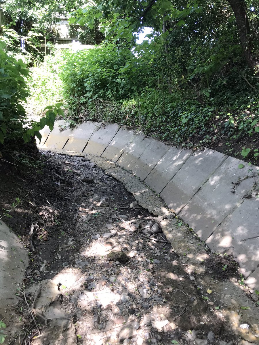 James Murray-White tweet media