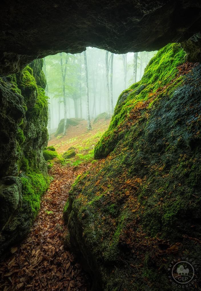 guyedwardes's tweet photo. A slightly different image from Tuscany. This time sheltering in a small cave in the high beech forest whilst the region endured a day of heavy rain.
© Guy Edwardes Photography
#visittuscany #beechforest #mistywoodland #visititaly #italynature #springtime https://t.co/6V5uGUHUmH