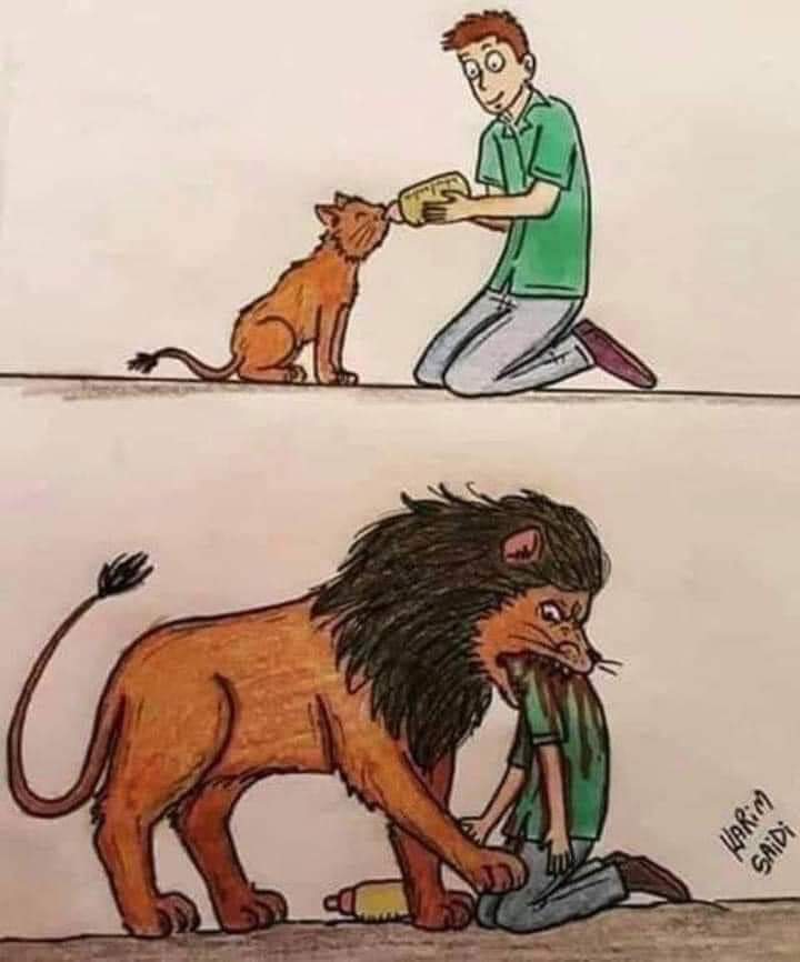 Toonzatt's tweet photo. إن وضعت عنوانا مناسبا لصورة فأنت فيلسوف بالغ الحكمة https://t.co/IdDUhsUbnH