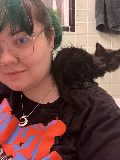 I caught a kitten in the parking lot at work tonight and I totally can&rsquo;t afford another cat and I&rsquo;m def<a href="/tag/mvsales"class="tags"><span>#mvsales</span></a>