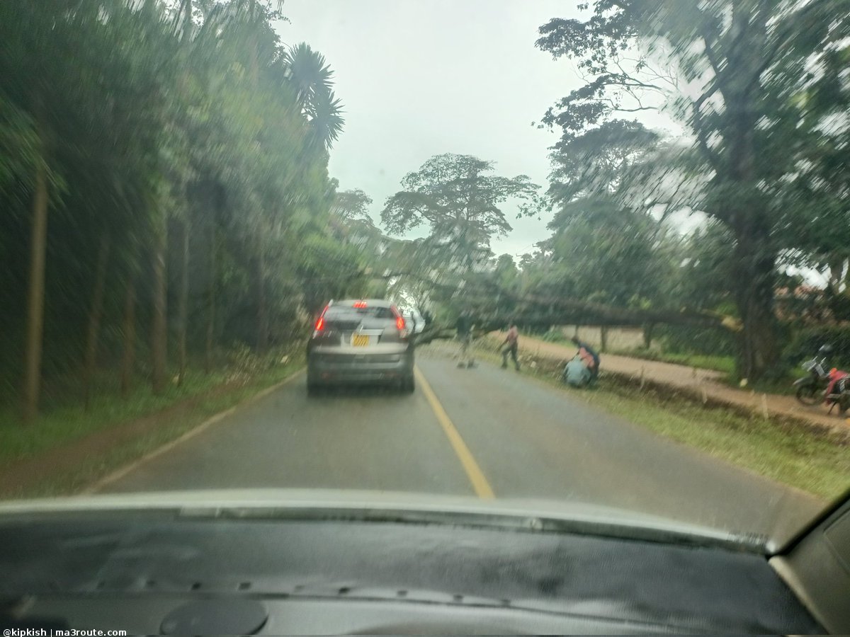 @Ma3Route Photos tweet media