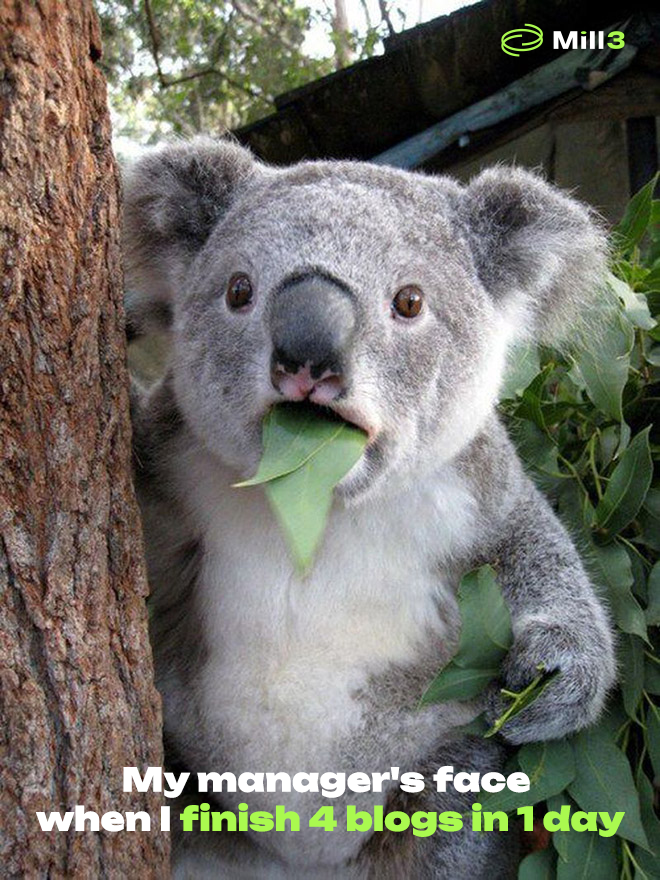 Mill3AI's tweet photo. 🐨 Mastered the art of procrastination? 

It's time to bid farewell to those random thoughts and plunge into the world of long-form writing with our remarkable #Mill3 feature.💡

Get ready to leave your manager in awe with your impressive skills ✨ 

$MILL #WritingAssistant https://t.co/WQ9FVGO1Fk
