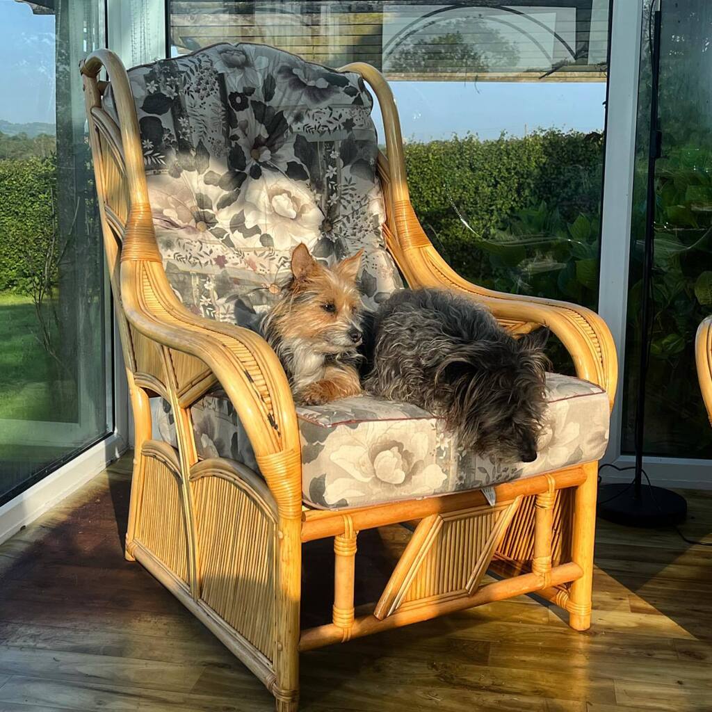 Minimum effort sunbathing this morning