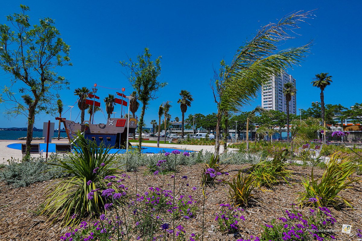 VilleDeToulon's tweet image. Idée sortie : Le jardin du Port Marchand 🌳 
#Toulon #Parcs #Jardins

Rdv au jardin du Port Marchand pour un pique-nique ou une promenade le long du littoral 🌊