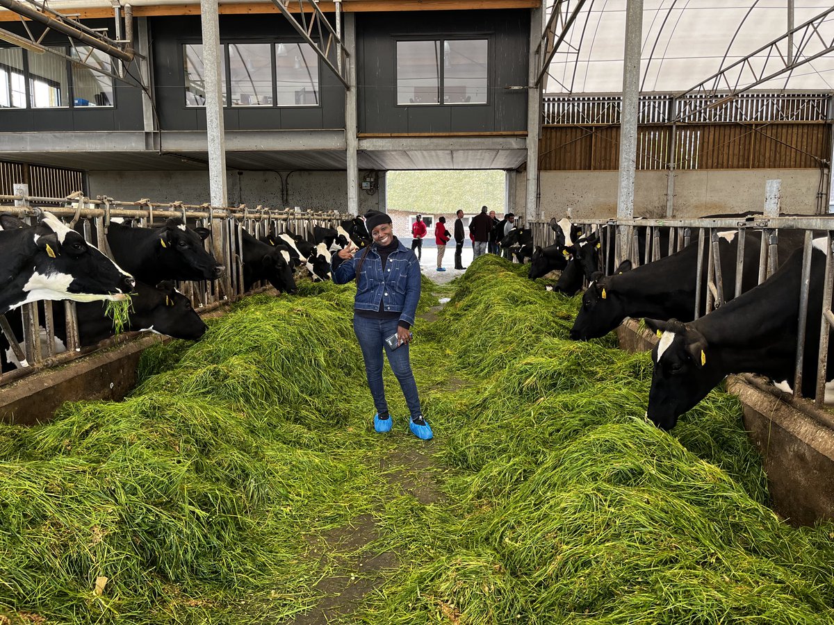 RachelMakani's tweet image. Agro-entrepreneurship is the perfect blend of innovation and sustainability. It&apos;s not just about growing crops and farming , but also about creating a positive impact on the environment and society.
⁦@DeboutBilenge⁩ ⁦@UEenRDC⁩
#OrangeKnowledge
#Engagés
#Actifs