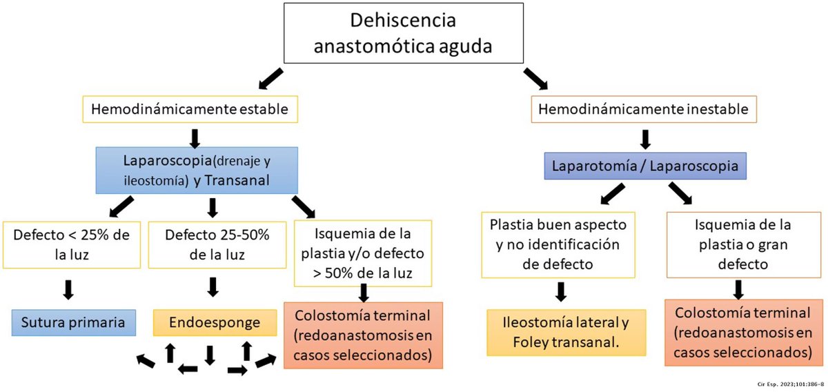 Algoritmo de actuación en la #dehiscencia anastomótica colorrectal extraperitoneal. Incorporación de la cirugía #TAMIS  ✅📋

<a href="/PerePlanellas/">Pere Planellas</a> <a href="/coll_farres/">RAMON FARRES COLL</a> <a href="/ac_codina/">antonio codina</a> <a href="/coloproctoaec/">Coloproctología-AEC</a> <a href="/aecirujanos/">aecirujanos</a> <a href="/AECP_FAECP/">AECP</a> <a href="/me4_so/">SoMe4Surgery</a> 

🔗elsevier.es//es-revista-ci… 

#MayIssue #CirEsp