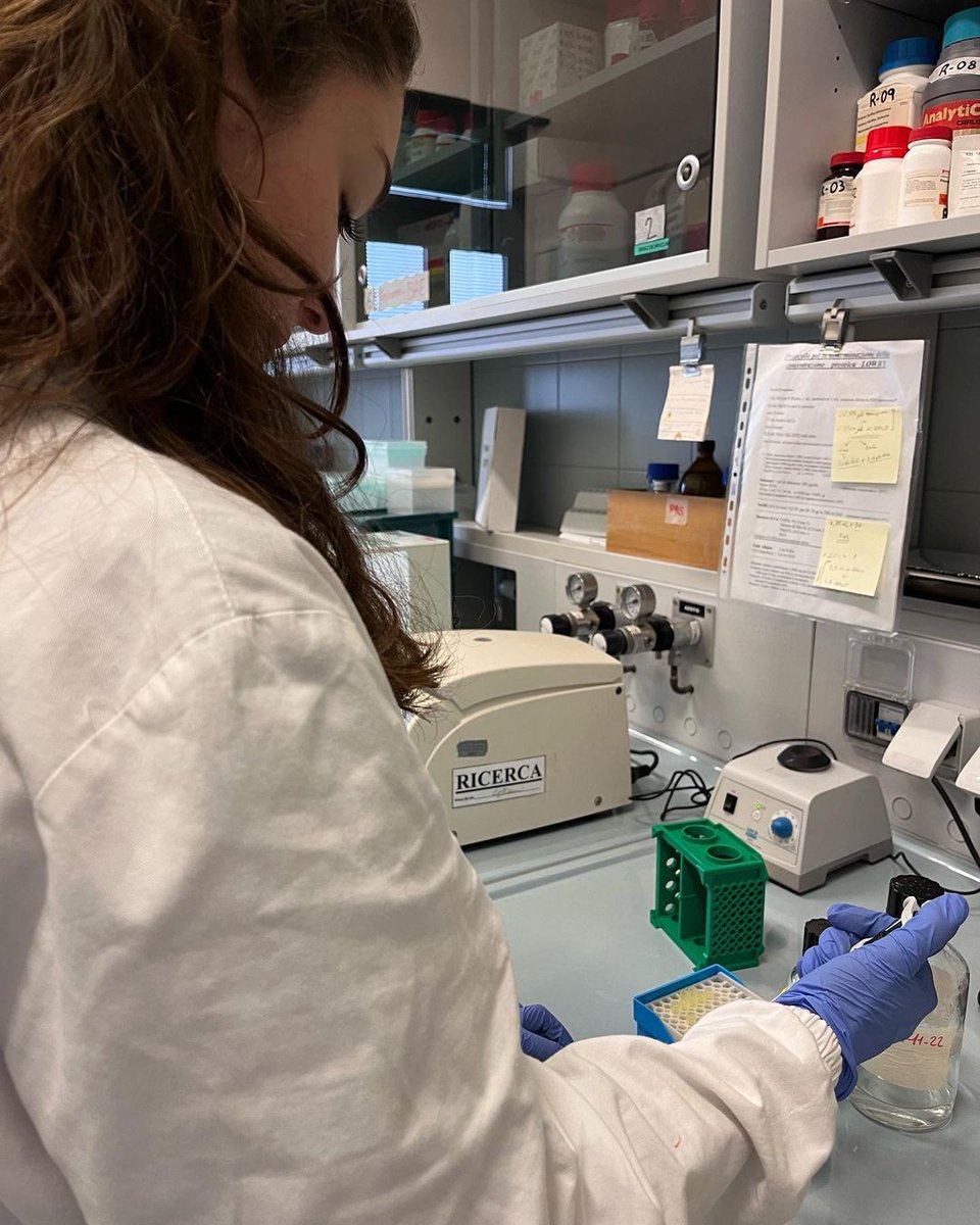 Dottorati di Ricerca 2023/24: aperte le iscrizioni ai concorsi❗️ 

⏰ La domanda di ammissione va presentata entro il 15 giugno 2023.

Tutte le info qui ► u.garr.it/g88fu
#PhD #phdchat #phdlife