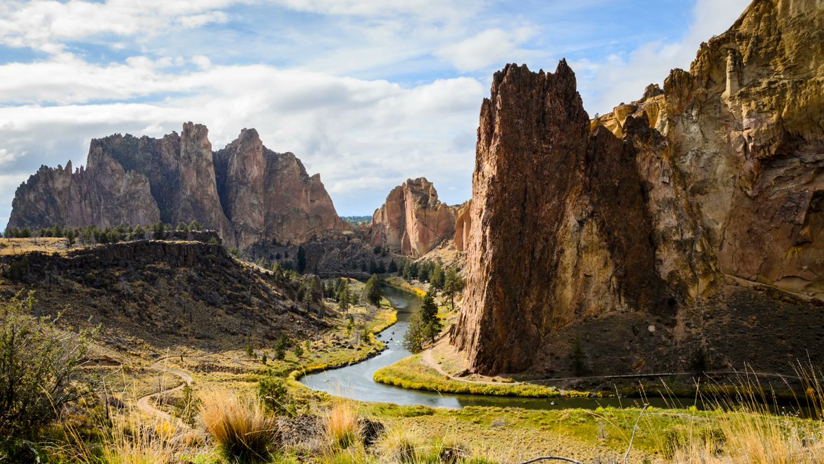 Rich Lesperance tweet media