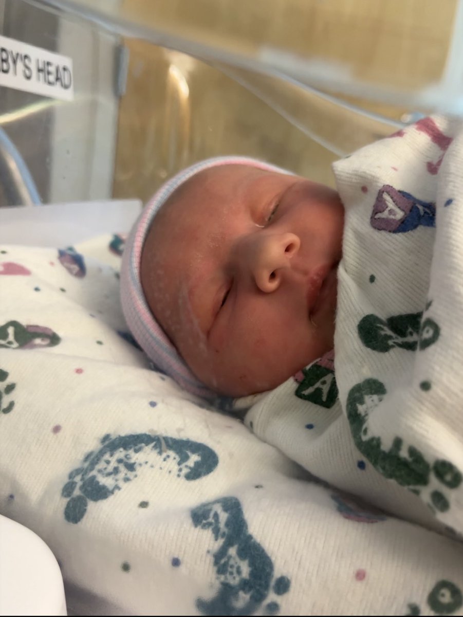 🪴 SlightlyFoxtail 🪴 tweet media