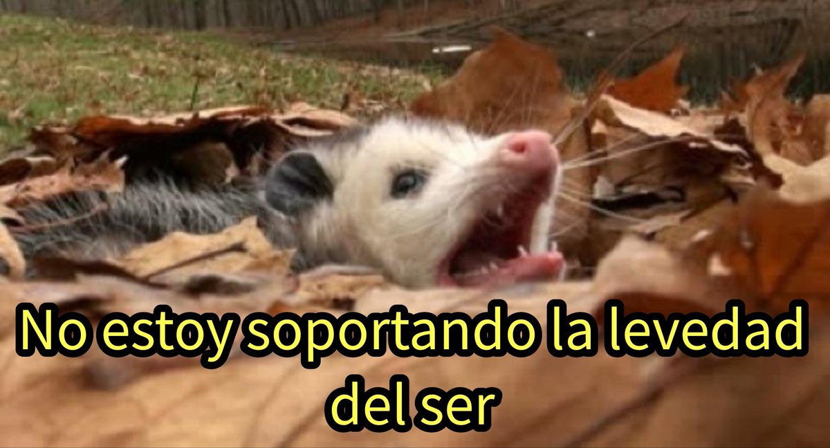 punk_y_cursi's tweet photo. Sálvame de la levedad. https://t.co/Q9MbQkRTv3