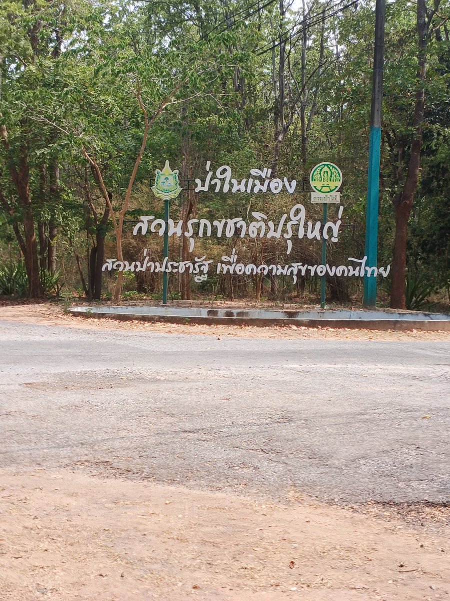 วันนี้จะไปสวนป่า80อยากหาเพื่อนไปเดินเล่น