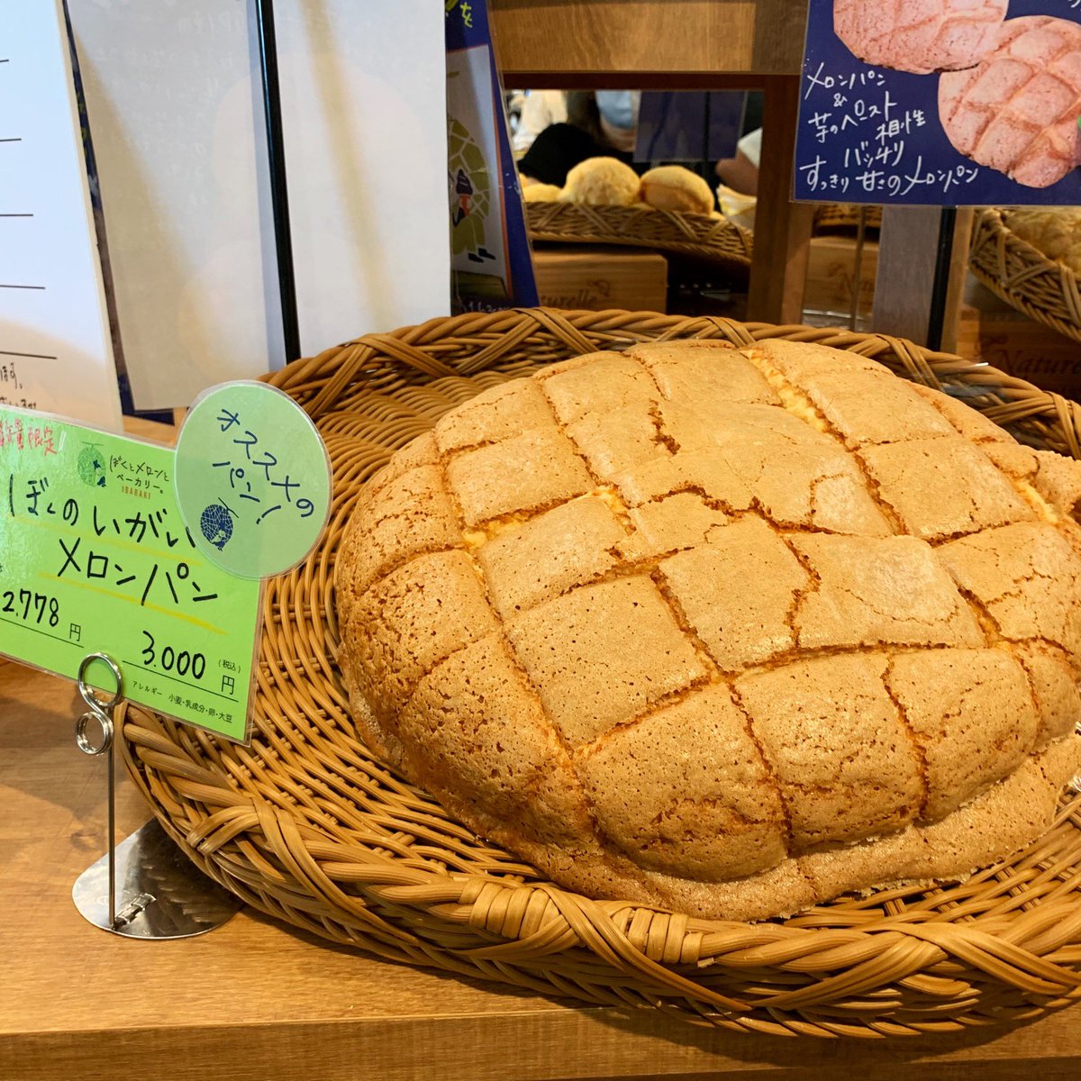 nogizaka46 🍈🍞 #冨里奈央 #乃木坂46 #ありえへん世界