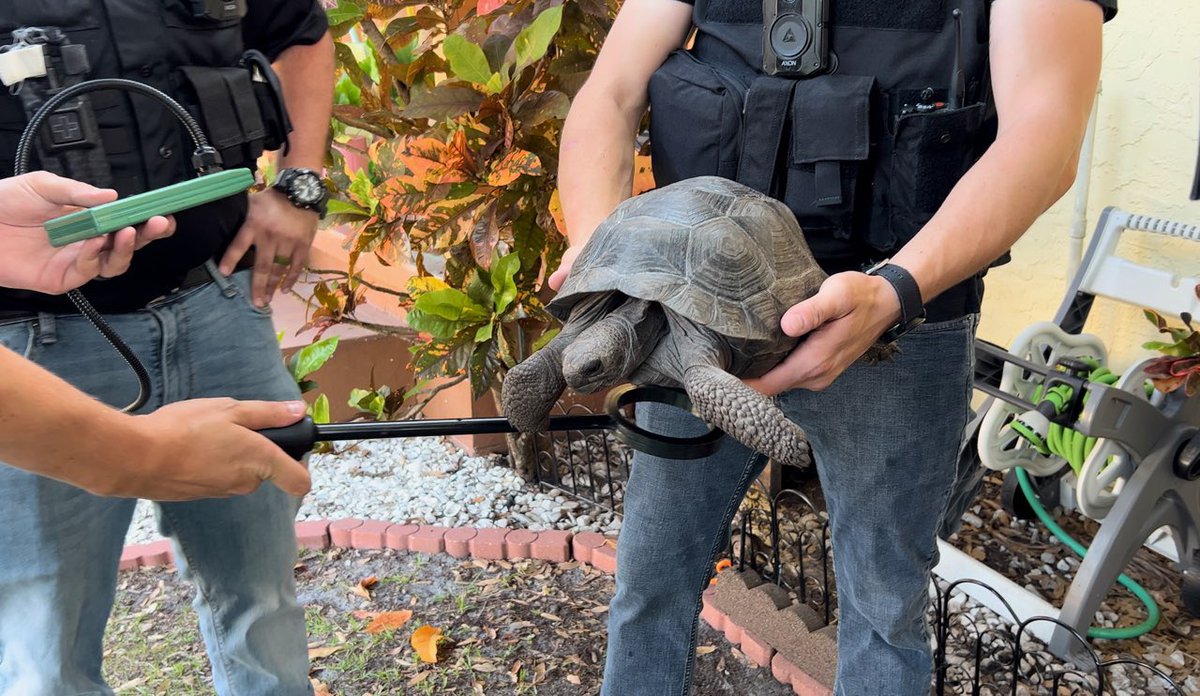 St. Augustine Police Department tweet media