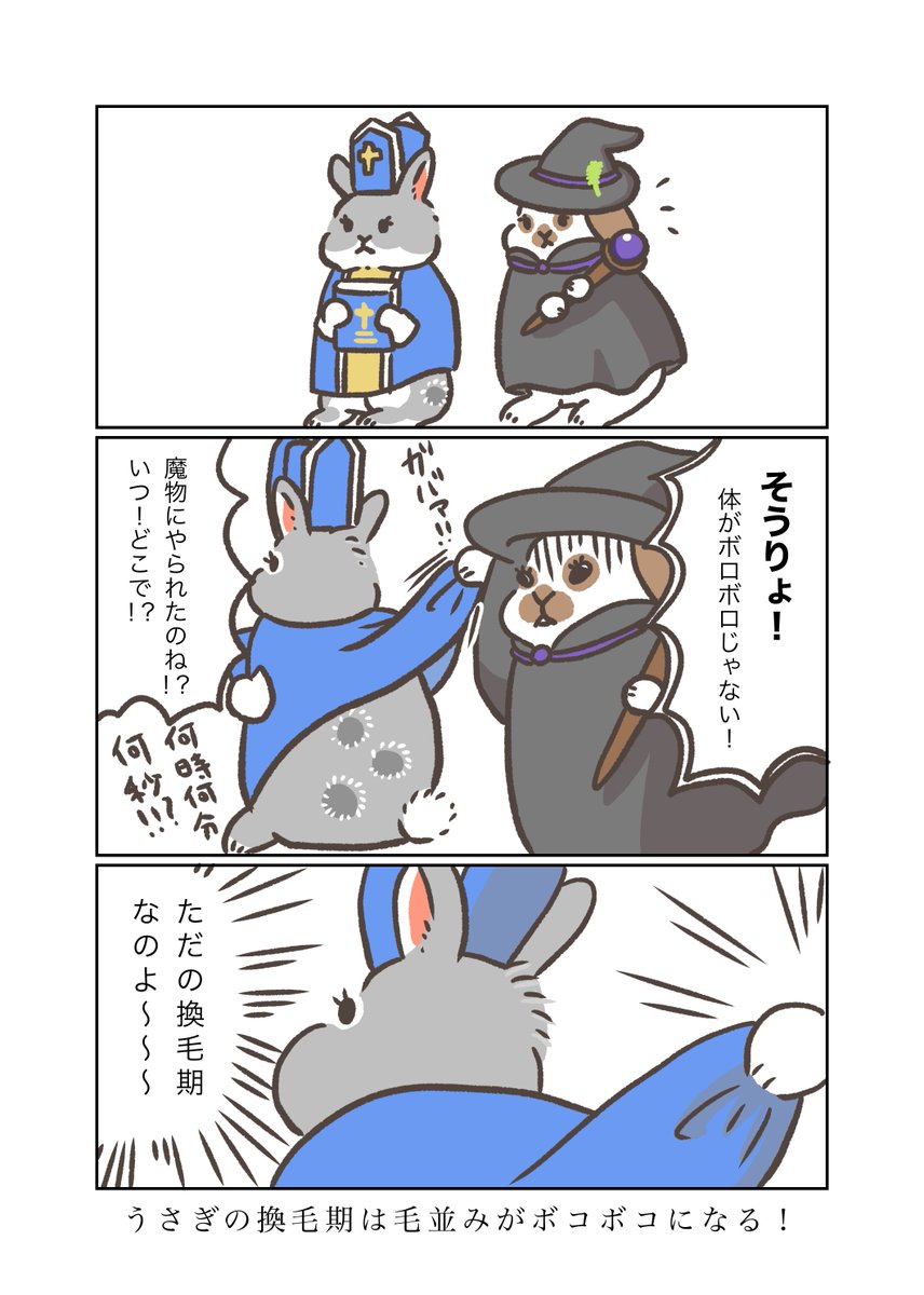 うさぎアドベンチャー 第13話「毛がボコボコ?」  #うさぎ #4コマ漫画 #4コママンガ #うさぎアドベンチャー