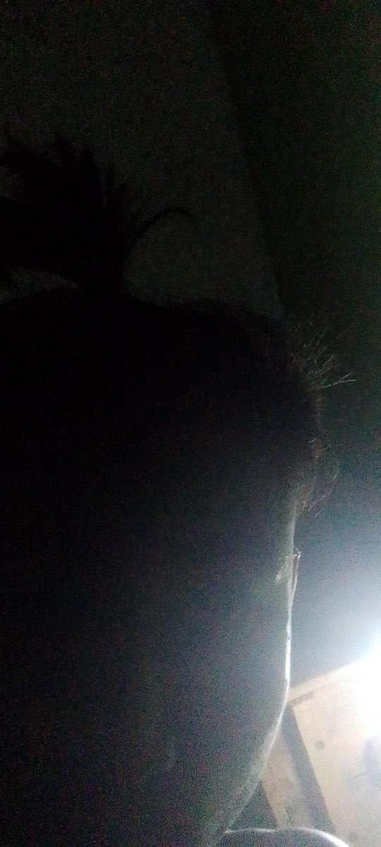 zinmi893's tweet photo. https://t.co/bTWLgL7VSf