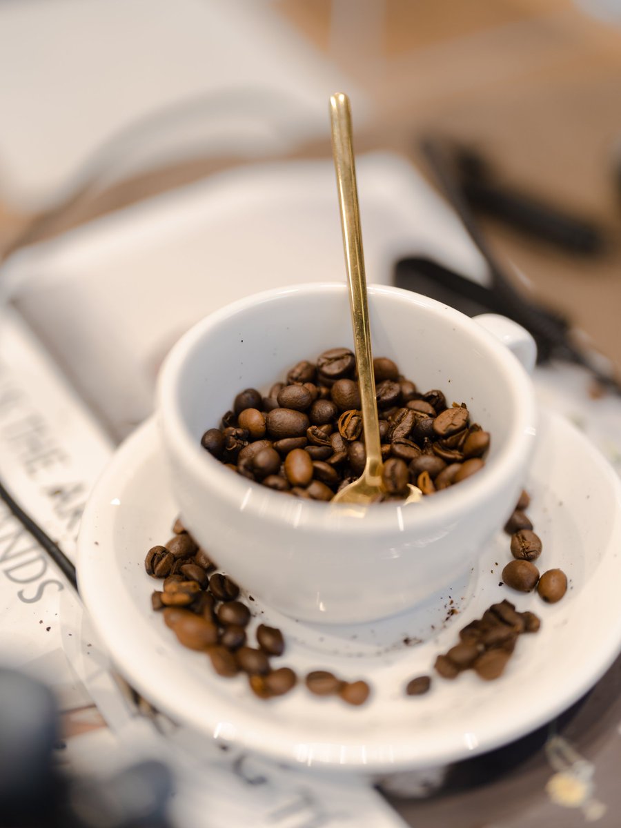 concorde tweet media