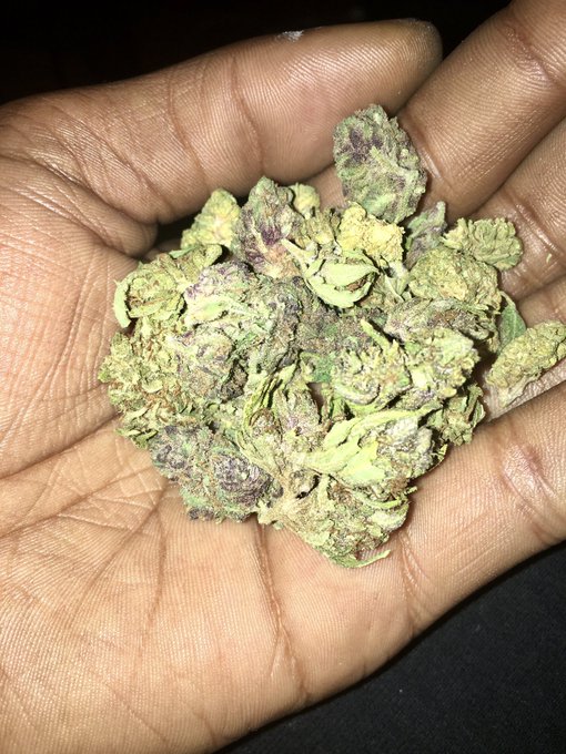 #restingkushface #resting #kush #face https://t.co/ejVQa2jFTn<a href="/tag/restingkushface"class="tags">#restingkushface</a><a href="/tag/resting"class="tags">#resting</a><a href="/tag/kush"class="tags">#kush</a><a href="/tag/face"class="tags">#face</a>