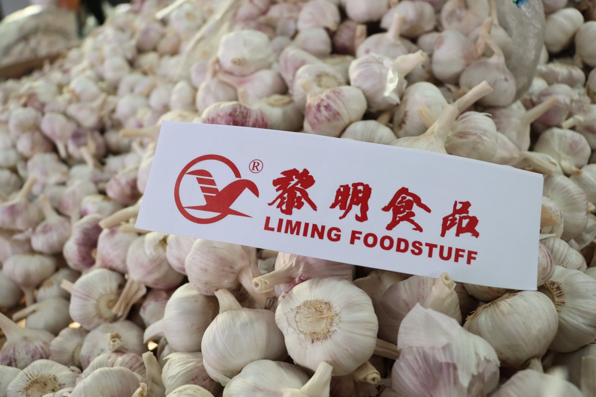 ChinaGarlic33's tweet photo. Liming Food, Best Garlic Supplier
Whatsapp:+8617327650397
Email:theresa@limingro.com
#garlic #freshgarlic https://t.co/kQlImSjAsQ