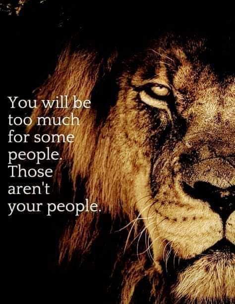 starsacademy33's tweet image. Progress is impossible without change...#nextchapterloading