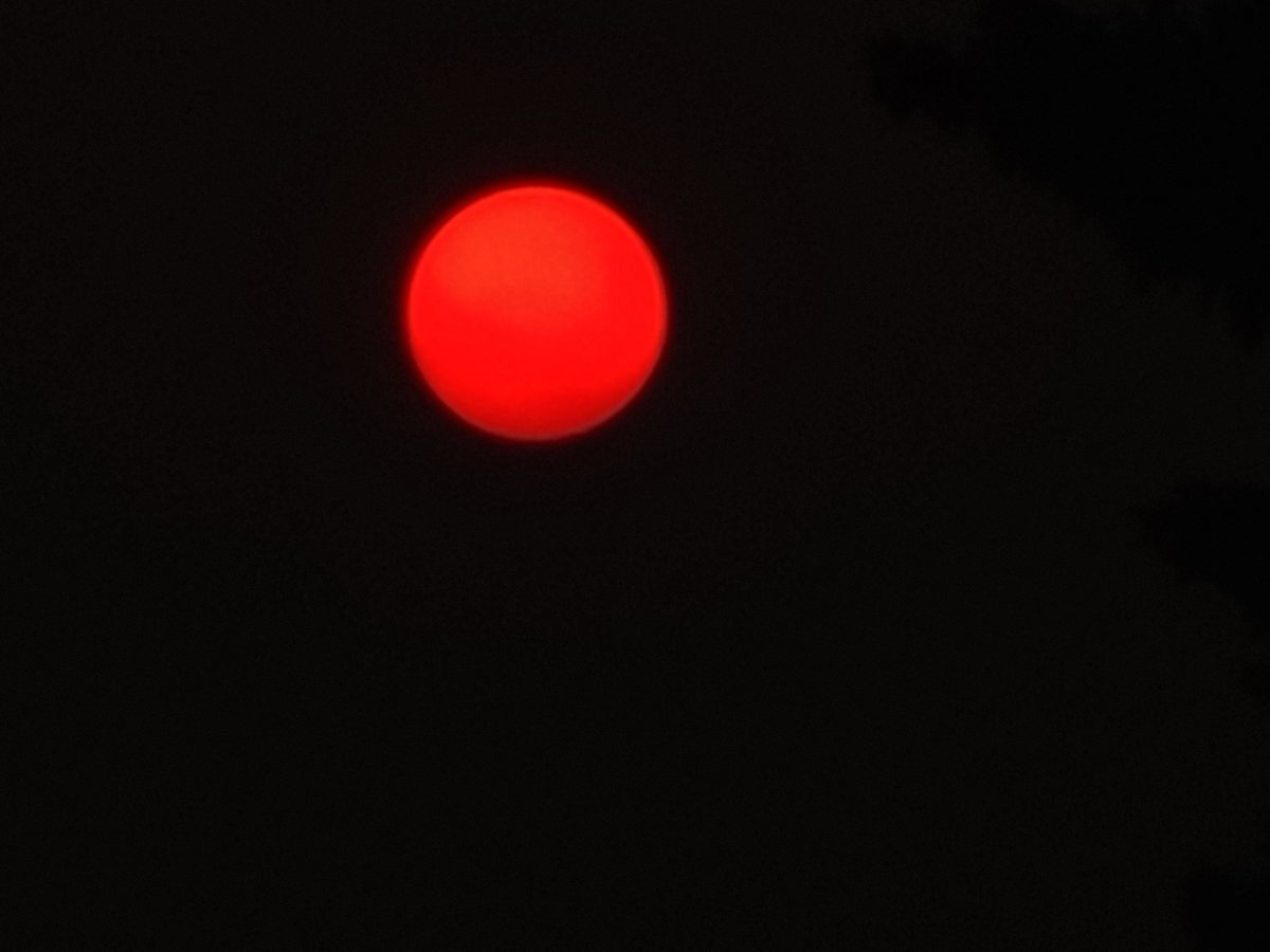 TheSpyFamily's tweet photo. An amazing smoky sunset... #abstorm #ABFires #SoOrange
Got that last shot by accident. My camera adjusted its lighting at the right moment. https://t.co/aNuWmDK5fs