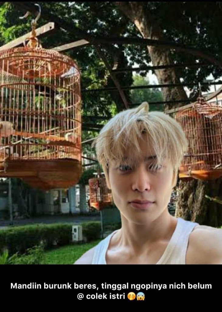 kitteniau's tweet photo. NEMU DI PIN ANJ 😭😭😭 https://t.co/H8T13LX53m