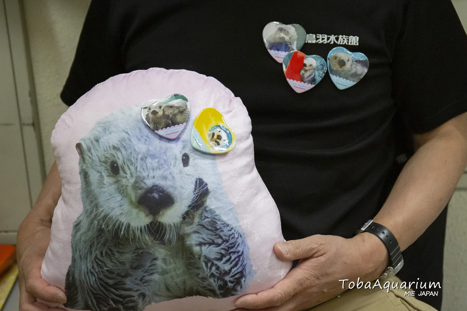 鳥羽水族館（TOBA AQUARIUM） on X: 