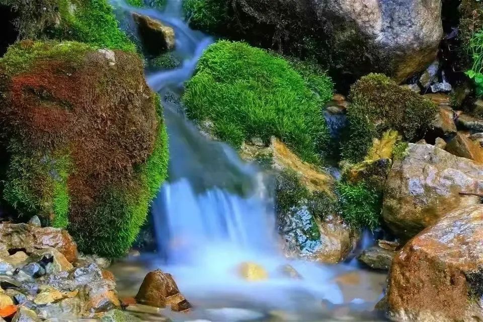 ExploreGansu's tweet photo. ☁️🌞Soak up the purest beauty, refreshing blue hues & sparkling sunlight at Guan'egou National Forest Park in Tanchang county of Longnan, #Gansu province.
💦⛰️Fall in love with the intoxicating landscape where the world suddenly becomes vast & your mind finds peace.#GansuView https://t.co/SgbEx1WrSz