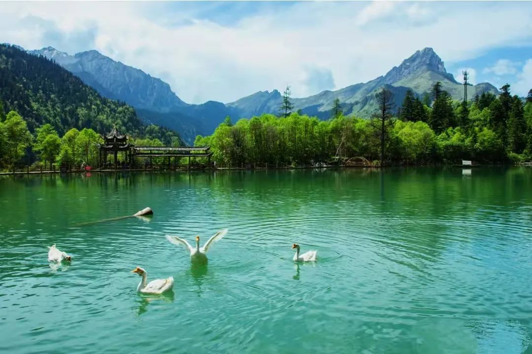 ExploreGansu's tweet photo. ☁️🌞Soak up the purest beauty, refreshing blue hues & sparkling sunlight at Guan'egou National Forest Park in Tanchang county of Longnan, #Gansu province.
💦⛰️Fall in love with the intoxicating landscape where the world suddenly becomes vast & your mind finds peace.#GansuView https://t.co/SgbEx1WrSz