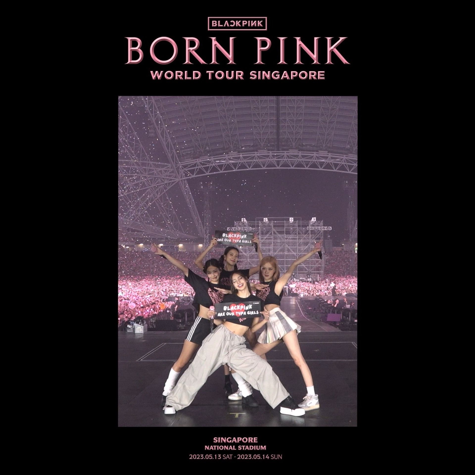 【新品未開封】BLACKPINK TOUR 2018 BORN PINK 他 Ultimate Born Pink Experience | Blackpink World Tour Born