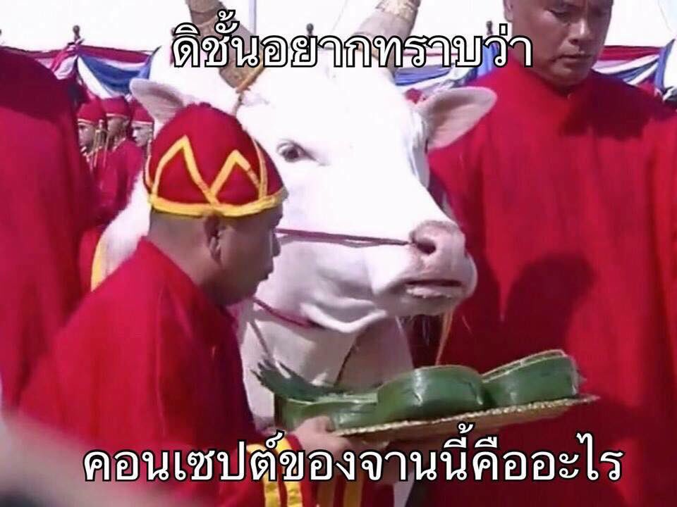 จะขอรีรันมีมนี้ทุกปี ชอบมาก 55555555555554444444555
#พระโค