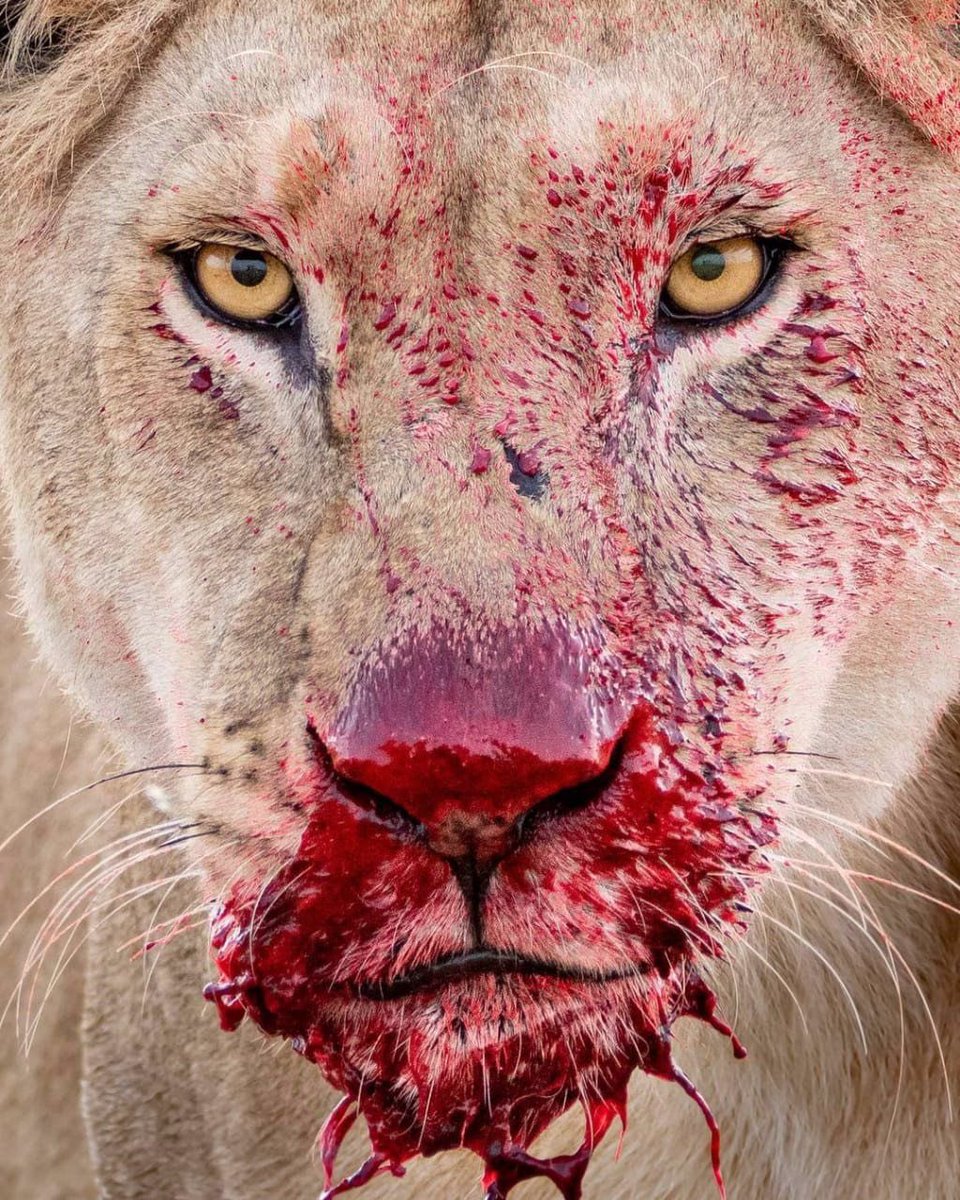 Mirnaeem17's tweet photo. Dark side of #pmln https://t.co/RgYiAqgk20
