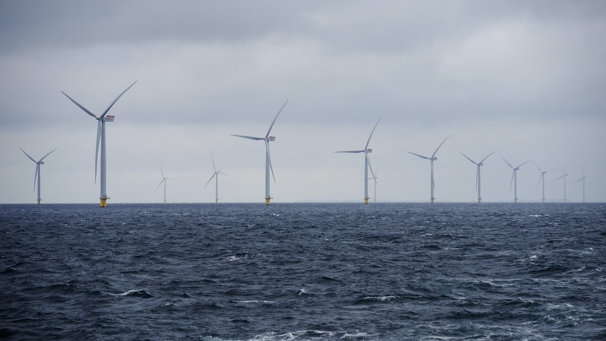 tv2politik's tweet photo. Regeringen vil gøre staten til medejer af nye havvindmøller https://t.co/HDzJ09W8Lb https://t.co/9GYBnVhjGv