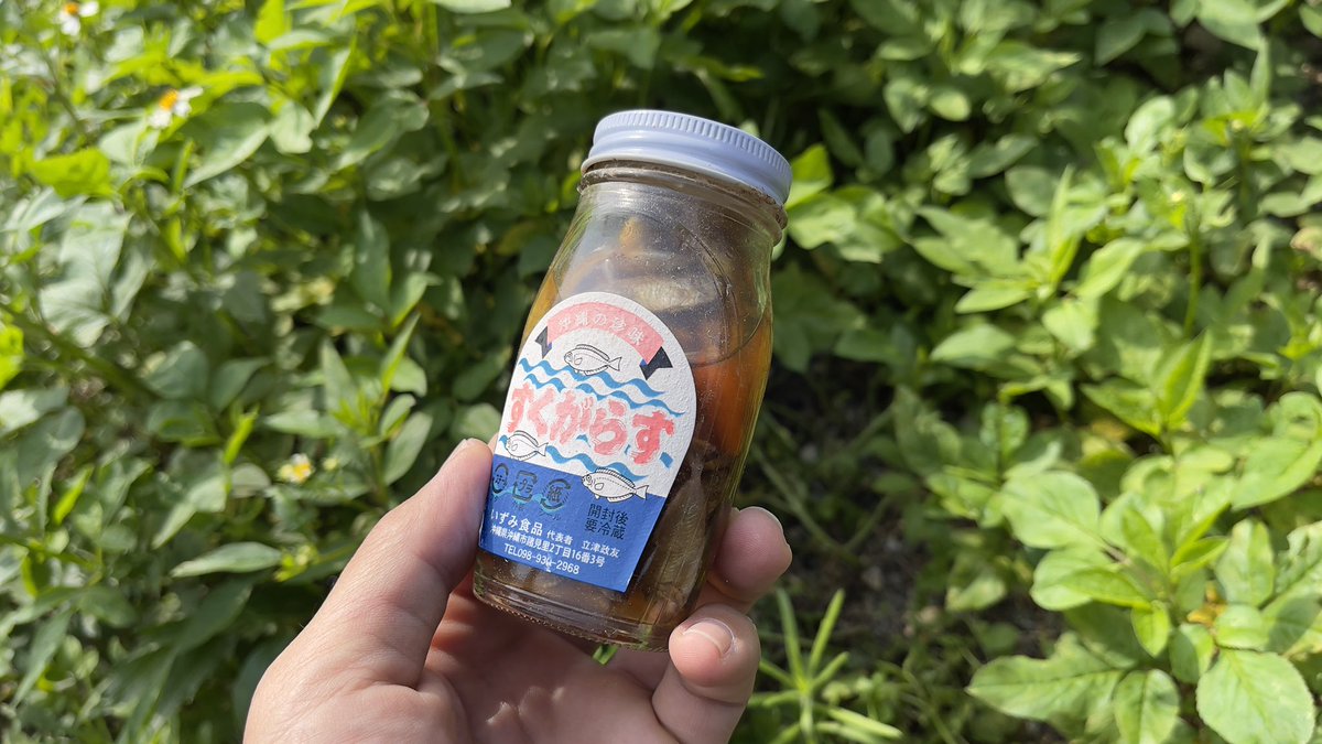 robocopyuzo's tweet photo. 早朝に掃除していたら見つけたすくがらす🐟生きるために釣る、買うは最低限必要な事だけどビンの中には沢山の命が入っている。海を掃除してる時も、地面に魚が投げ捨てられているのをよく見かける。他の命に尊敬の心を持たない沖縄になってきている。 #命どぅ宝 https://t.co/PfFg2jYprj