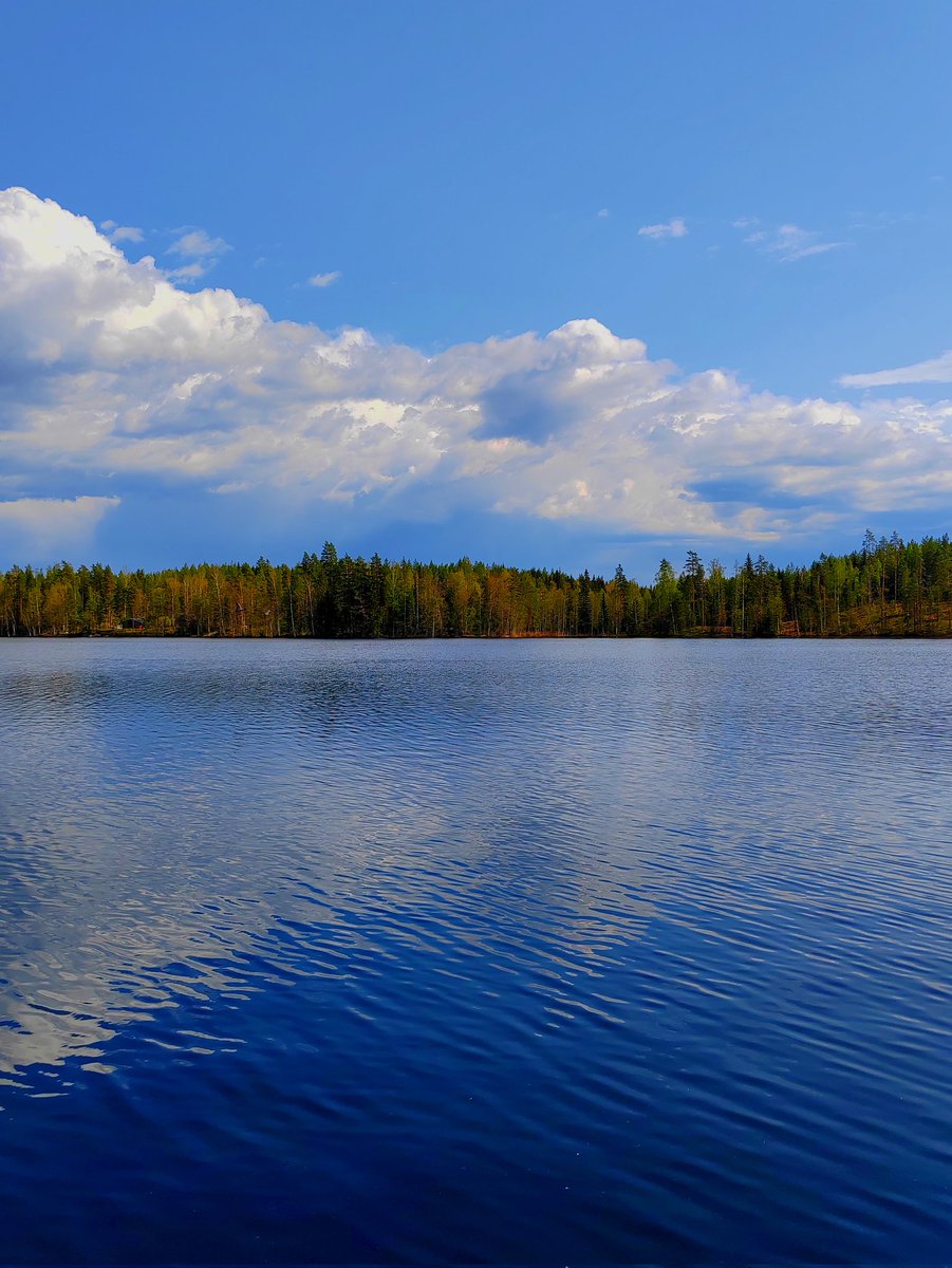 ElseKruskopf's tweet photo. Hyvää huomenta. Minä julistan nyt kesän alkaneeksi. Meidän järven pinnassa pääskyset lentelivät iloisesti ja toivottivat terkkuja etelän mailta🐦🎶Tervetuloa ihanuudet👌 Iloa keskiviikkoon😊 #Finland 🇫🇮#Jaala #summervibes #swallowsareback #StandWithUkraine️ 💛💙 https://t.co/LTMVjRVmVw