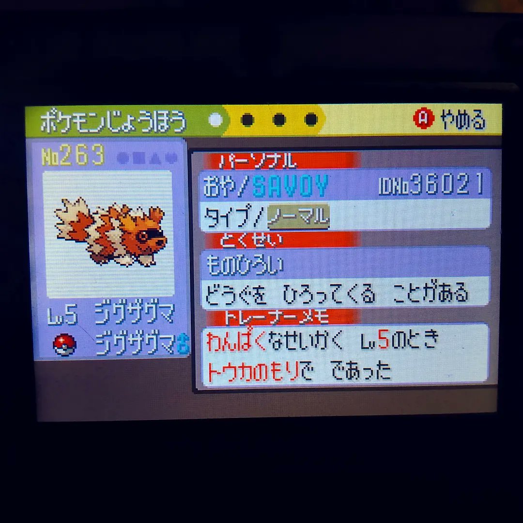 ShiningDanny1's tweet image. FFFFFFFFFF, Shiny Zigzagoon after 26,088 RE's✨ Phase 14 for Shroomish and my 15th of the line... at least the phase is over. Now officially over double odds phase-wise 😵 
#shinyzigzagoon #zigzagoon #phase14 #shinypokemon #pokemon #rse #fullodds